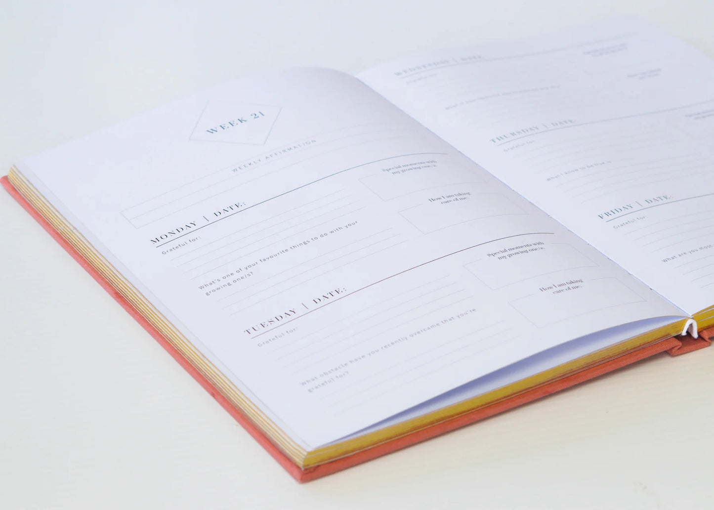 Olive + Page The JOY Journal