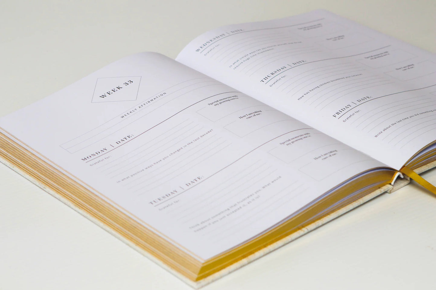 Olive + Page The JOY Journal
