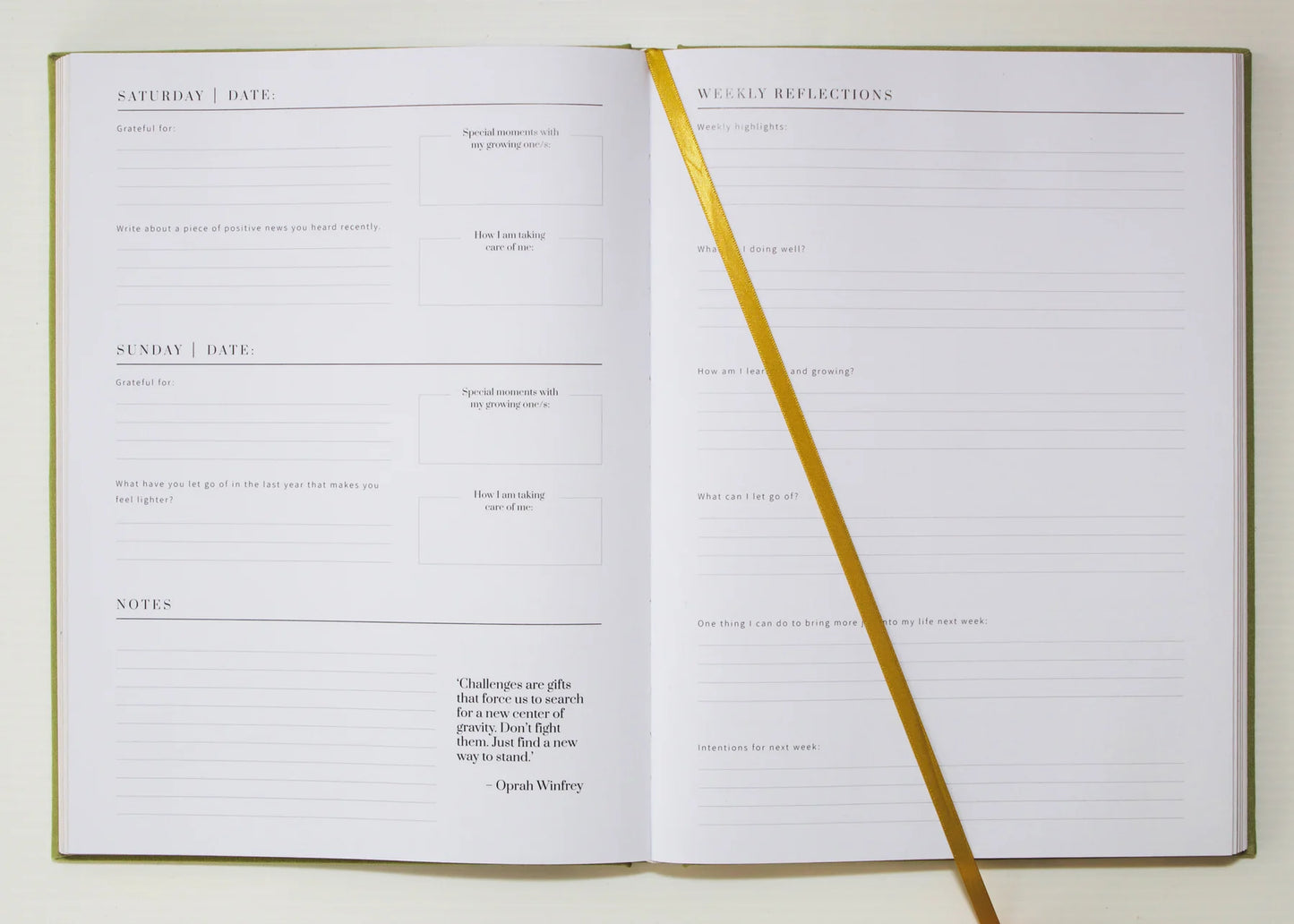 Olive + Page The JOY Journal
