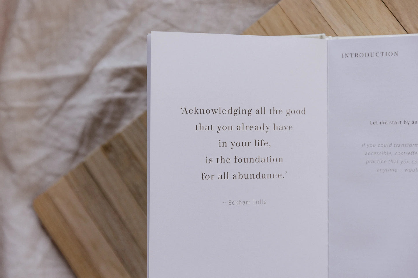 Olive + Page Gratitude Journal