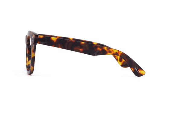 Daily Eyewear 11AM Brown Tort