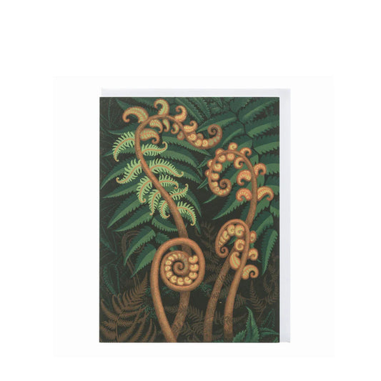 Eileen Mayo Springing Fern Card