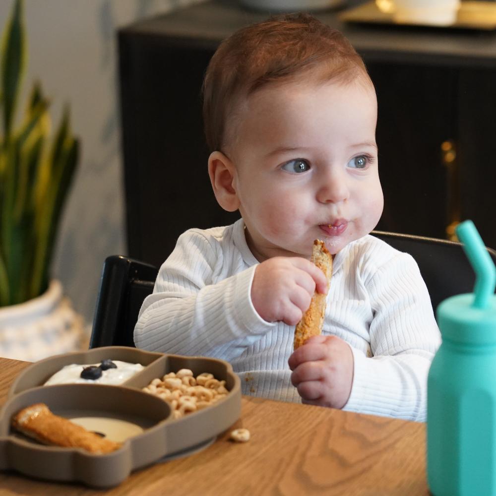 Melii Suction Plate | Bear