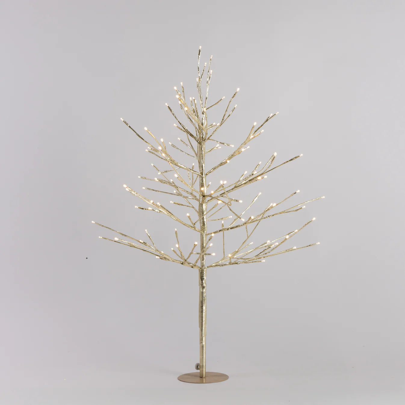 Stellar Champagne Twig Tree