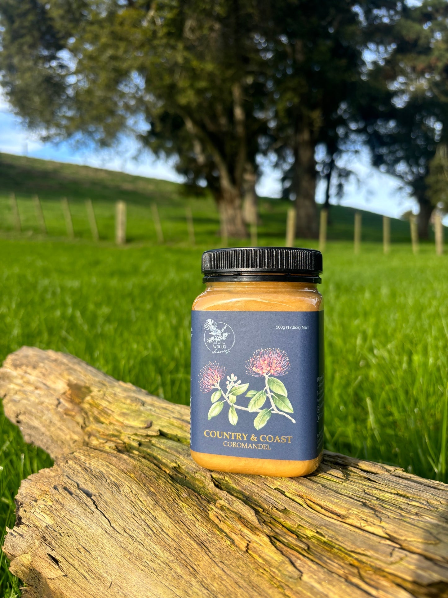 Out of the Woods Honey | Country & Coast 500g