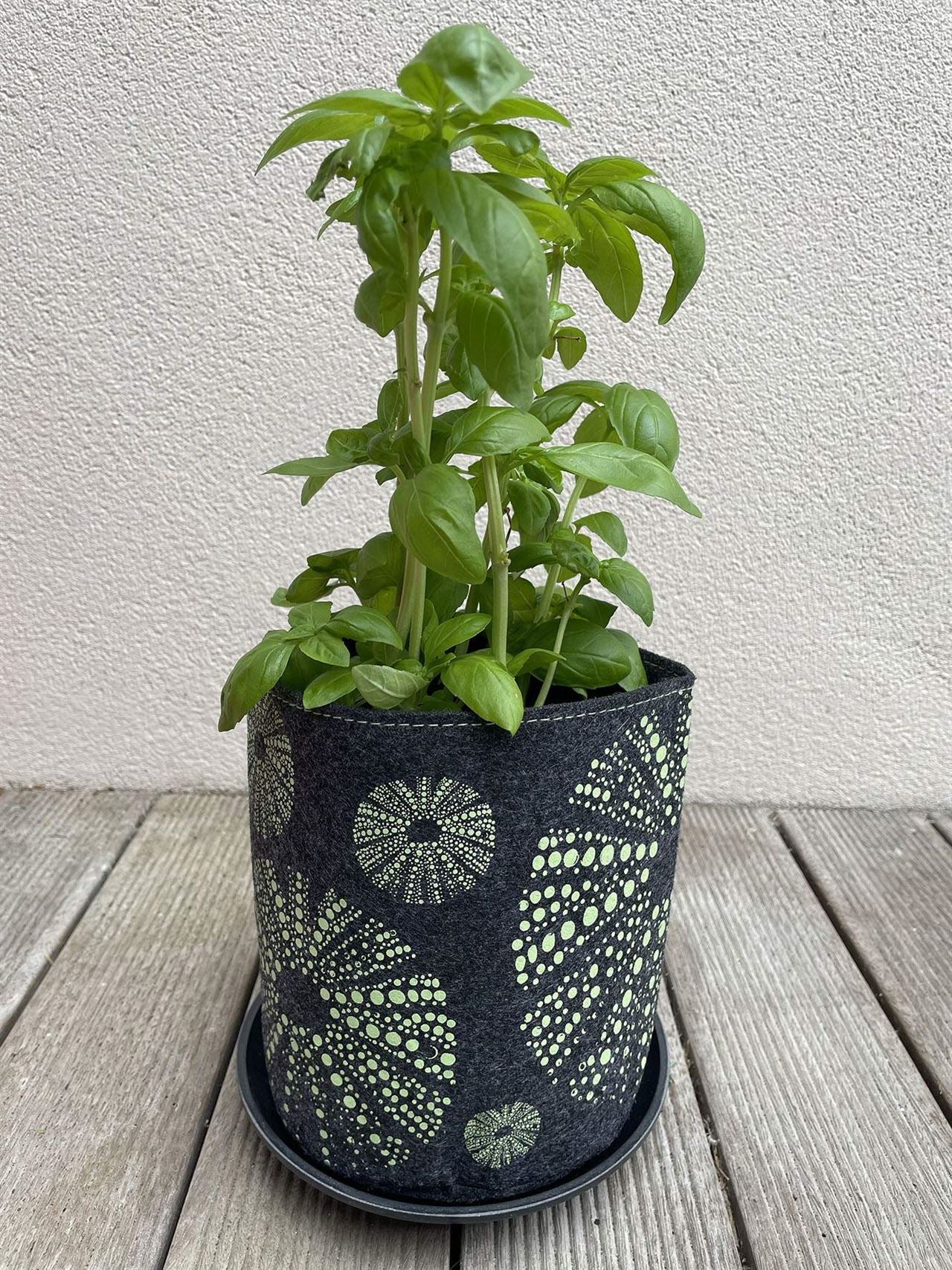 Jo Luping Design - KIna Green on Grey| Ecofelt Growbag
