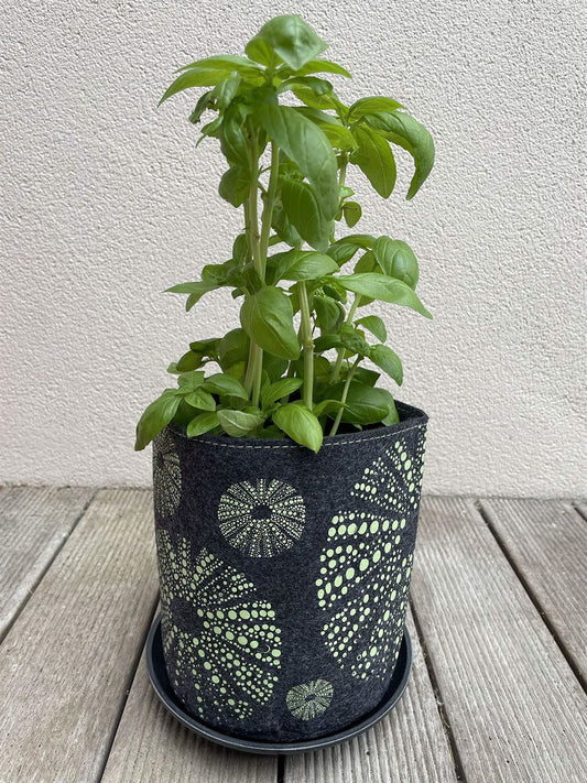 Jo Luping Design - KIna Green on Grey| Ecofelt Growbag