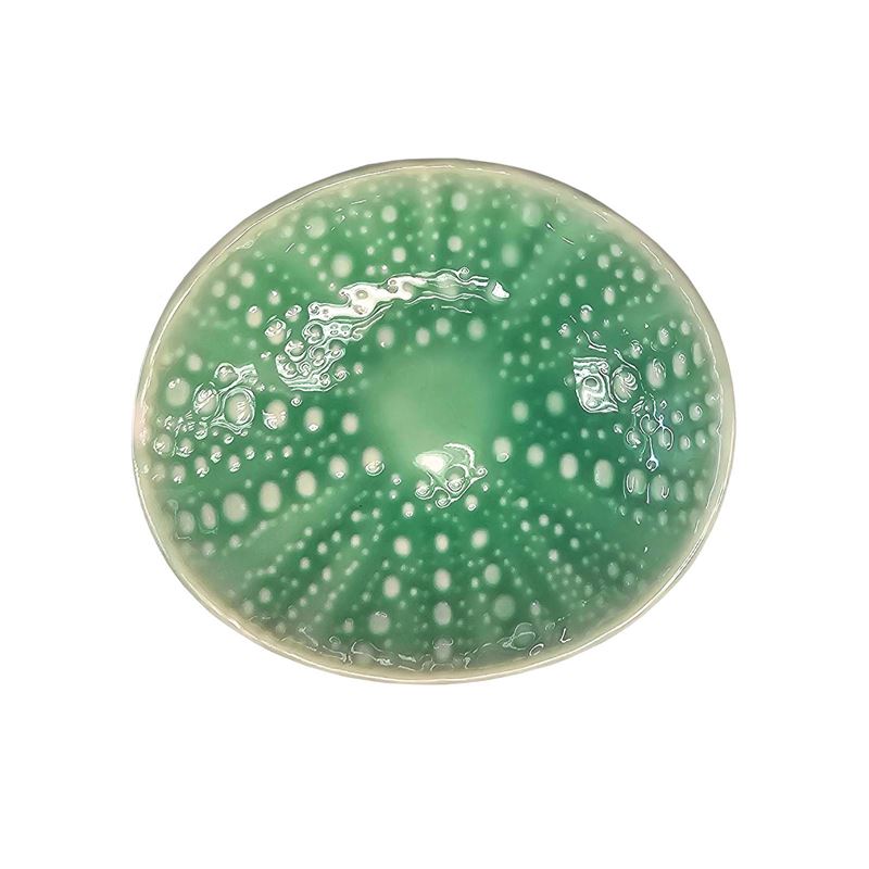 Jo Luping Design - Kina Aqua | 10cm Porcelain Bowl