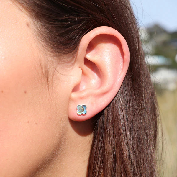 Little Taonga Paua Clover Earrings