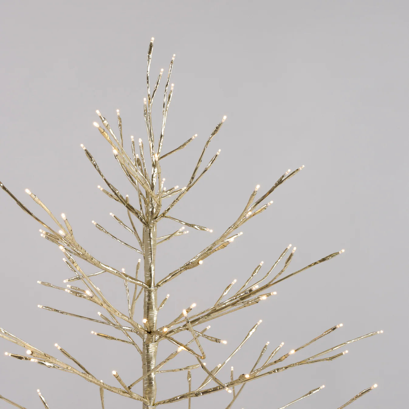 Stellar Champagne Twig Tree