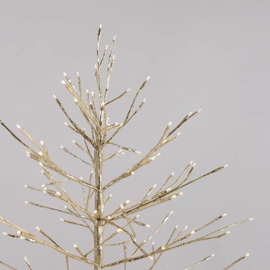Stellar Champagne Twig Tree