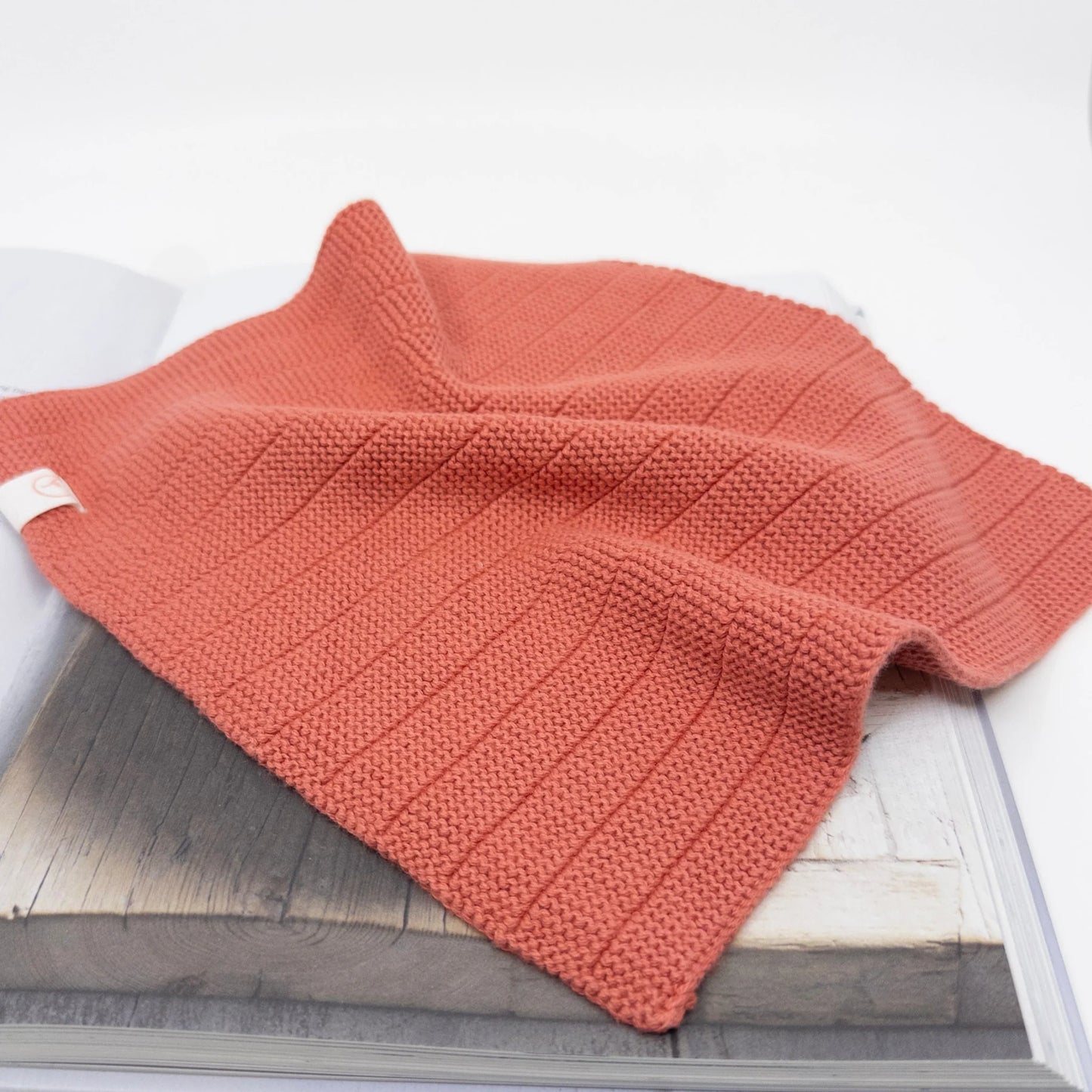 Ecovask Dish Cloth - twin pack