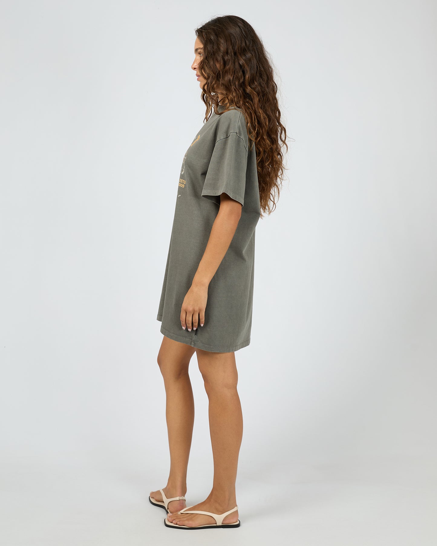 Silent Theory Flying Free Tee Dress | Coal