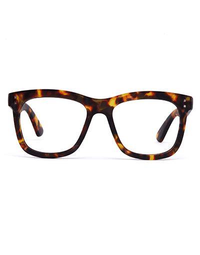 Daily Eyewear 11AM Brown Tort