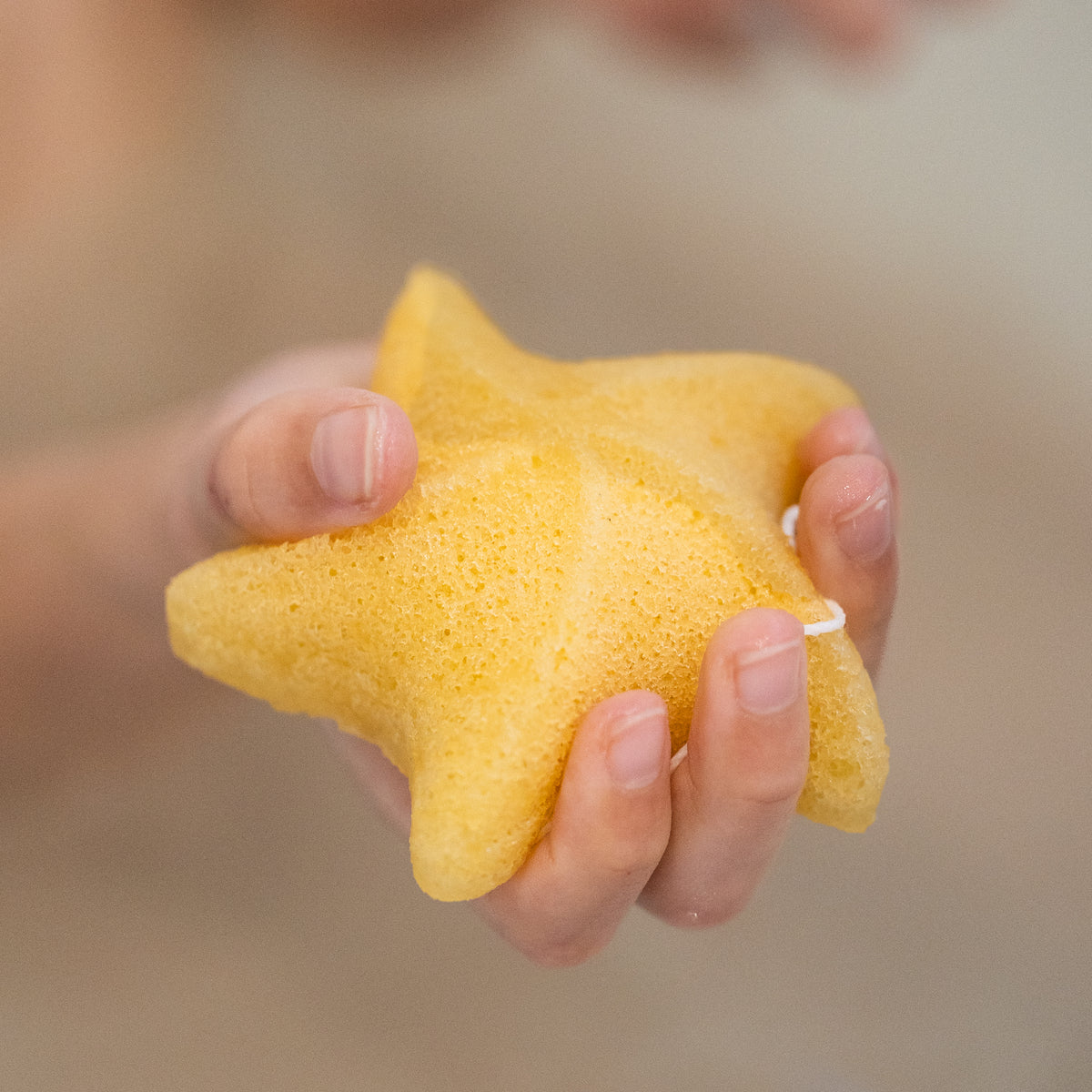 Wild Emery Kids Collection Star Shape Konjac Sponge