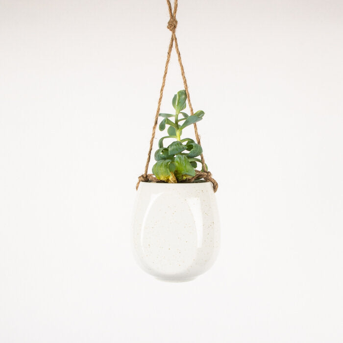 Trade Aid White Ceramic Hanging Planter